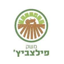 משק פילצביץ'